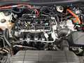 Ford Kuga Titanium 2.5 DuraTec FHEV 4WD Automatik Schwarz - thumbnail 22
