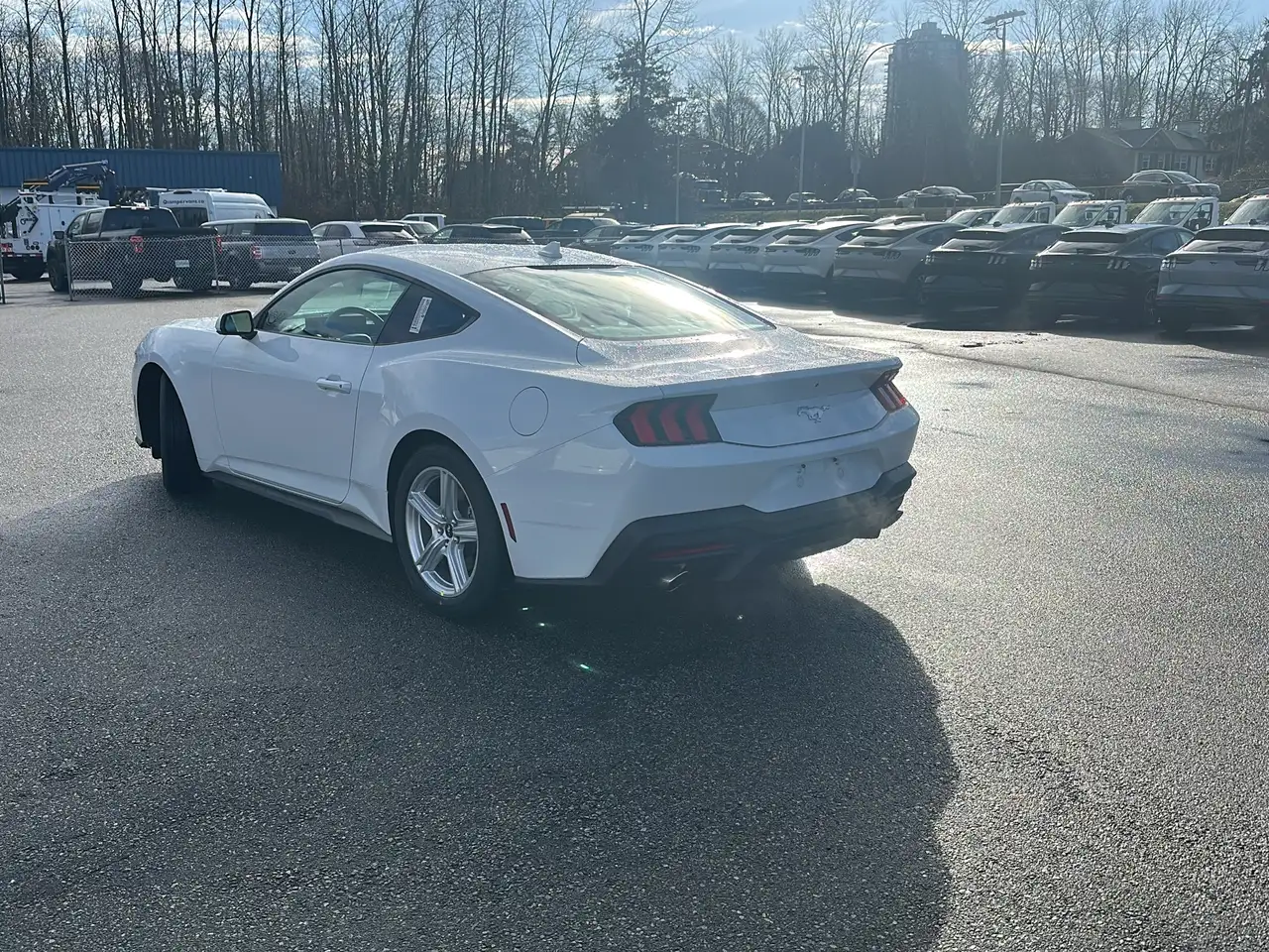 Ford Mustang photo Ford Mustang