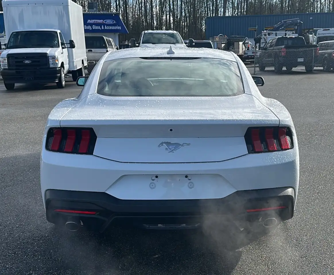 Ford Mustang photo Ford Mustang