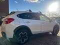 Subaru XV XV I 2.0i ES Style (trend) automatica 4x4 Bianco - thumbnail 3