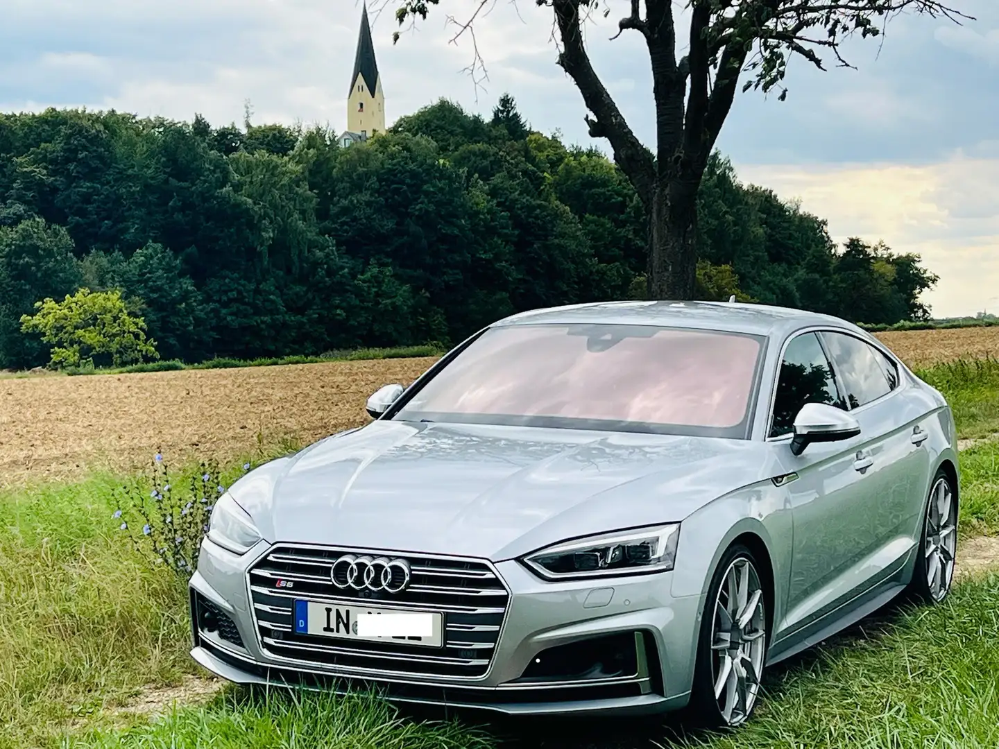 Audi S5 Sportback 3.0 TFSI quattro Standheizung, ACC - 1