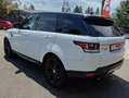 Land Rover Range Rover Sport HSE, Vollleder, Navi, SHZ, Rückfahrkamera Blanc - thumbnail 8
