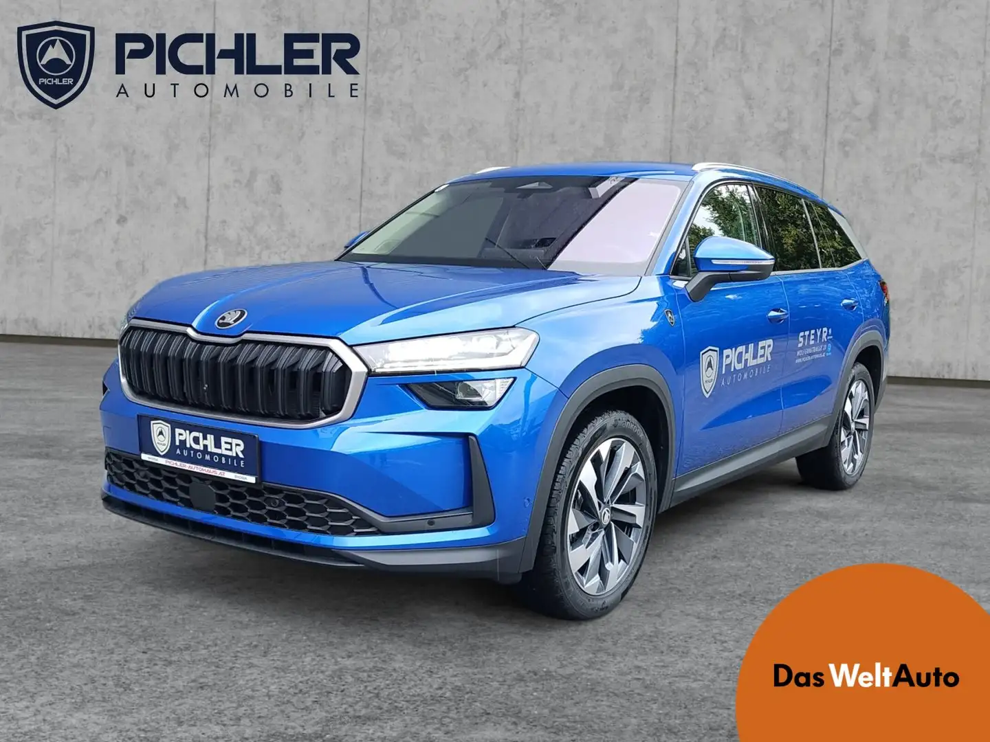 Skoda Kodiaq 4x4 Selection TDI DSG Blau - 1