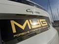 Porsche Cayenne E-Hybrid Aut. Blanco - thumbnail 10