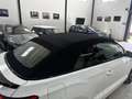 Volkswagen T-Roc Cabrio 1.5 TSI R-Line DSG7 Blanc - thumbnail 8