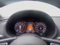 Audi A3 40 e-tron sport Rot - thumbnail 11