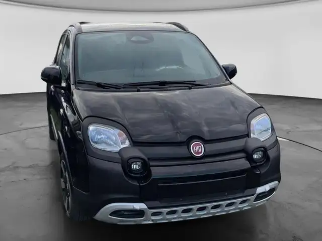 Fiat Panda view 3