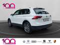 Volkswagen Tiguan 1.4 TSI Navi ACC Apple Carplay ACC Mehrzonenklima Blanc - thumbnail 4