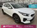 Kia XCeed Xceed 1.6  Navi|CAM|Sitz&Lenkrhzg. Wit - thumbnail 1