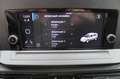 Volkswagen Caddy Kasten DSG LED AHK APP ALU Standheizg Rood - thumbnail 8