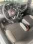 Fiat Panda 1.0 FireFly S&S Hybrid Grigio - thumbnail 9