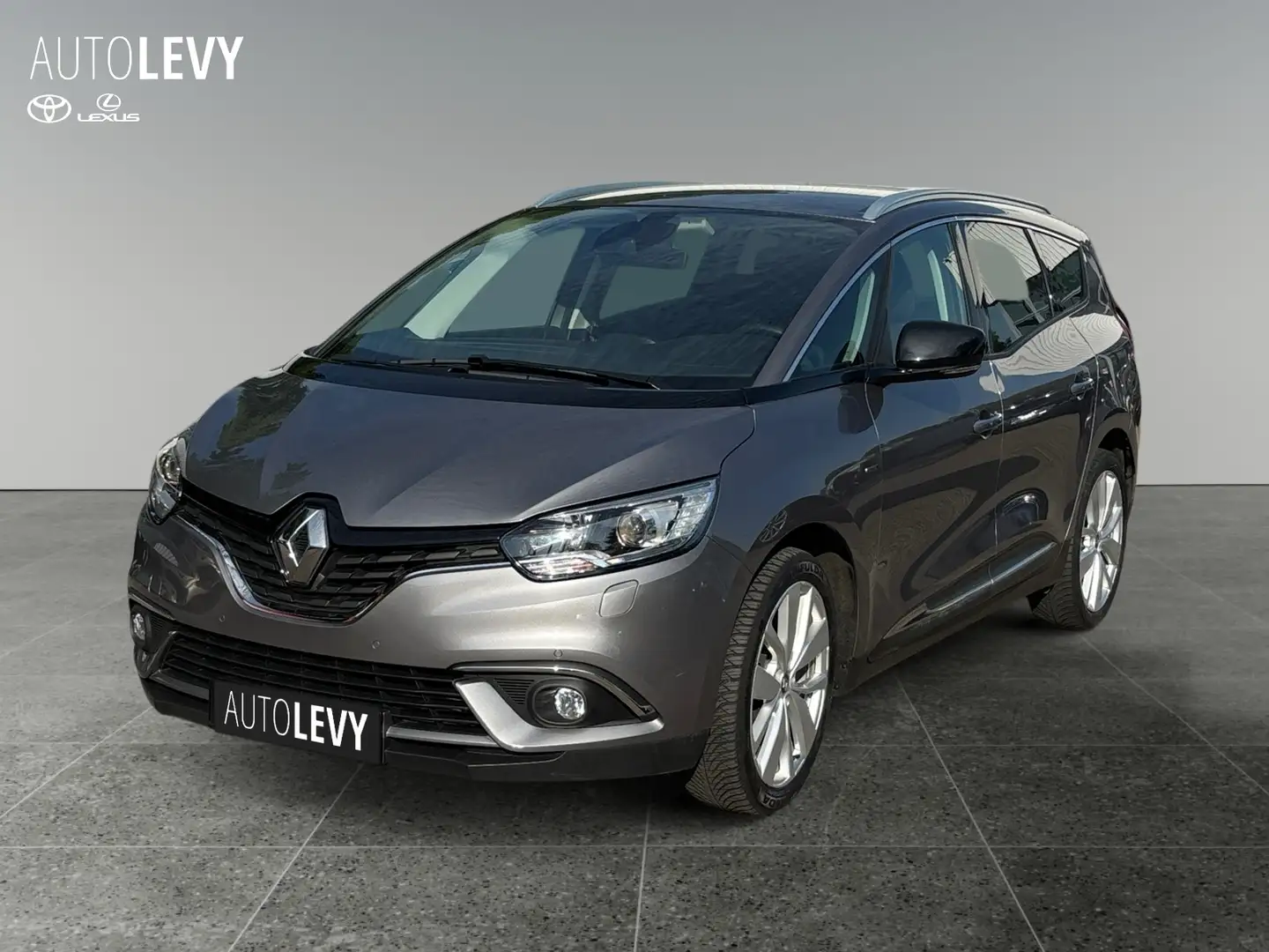 Renault Grand Scenic IV 1.3 TCe 140 Limited *NAVI*PDC* Silber - 2