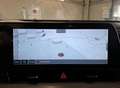 Kia Sportage 1.6 CRDI MHEV 136 CV 2WD DCT ACTIVE Verde - thumbnail 6