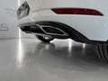 Volkswagen Golf Sport R-Line 1.5 TSI 110kW (150CV) DSG Blanc - thumbnail 8