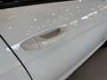Volkswagen Golf Sport R-Line 1.5 TSI 110kW (150CV) DSG Blanc - thumbnail 21