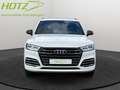 Audi Q5 55 TFSIe S-tronic quattro Pano/Tempo/Einparkh Weiß - thumbnail 9