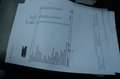 Lincoln Mark LINCOLN LT LPG /4WD Grau - thumbnail 20