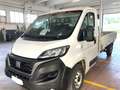 Fiat Ducato 35 2.2 Mjt 140 PLM-SL Cassonato Bianco - thumbnail 1