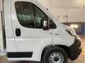Fiat Ducato 35 2.2 Mjt 140 PLM-SL Cassonato Bianco - thumbnail 5