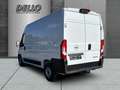 Opel Movano Cargo 3.5t verstärkt L2H2 BlueHDI 140 AHK Allwette Weiß - thumbnail 3