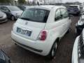 Fiat 500 1.2 Lounge Automatic Bianco - thumbnail 2