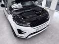Land Rover Range Rover Evoque AUTOBIOGRAPHY+PANO+360+MERIDI Bianco - thumbnail 15