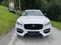 Jaguar F-Pace 30d AWD R-Sport Aut. Weiß - thumbnail 1