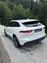 Jaguar F-Pace 30d AWD R-Sport Aut. Weiß - thumbnail 4