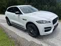 Jaguar F-Pace 30d AWD R-Sport Aut. Weiß - thumbnail 3