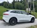 Jaguar F-Pace 30d AWD R-Sport Aut. Weiß - thumbnail 7