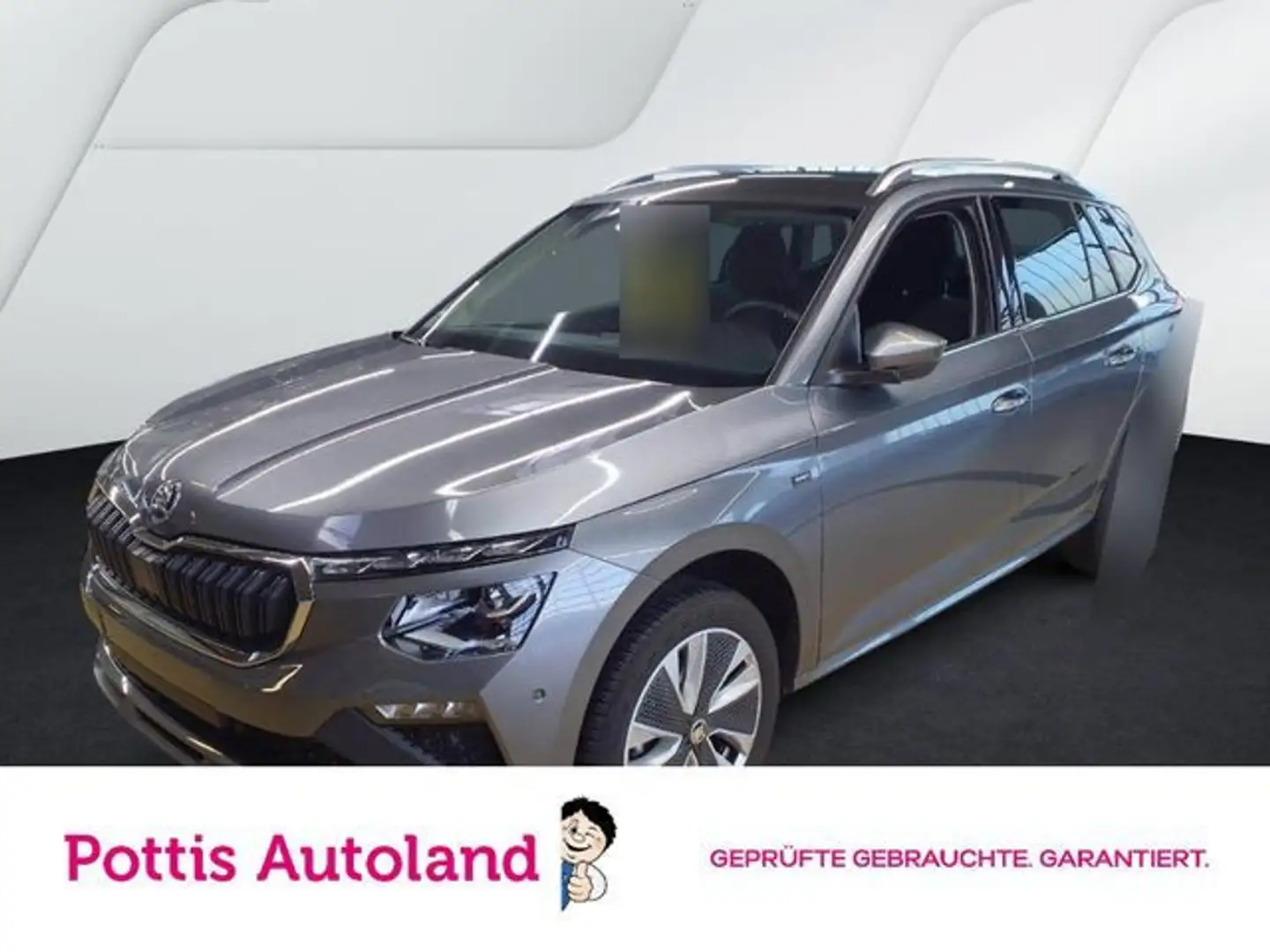 Skoda Kamiq 1.0 TSI DSG DRIVE AHK KAMERA SITZHZG VIRTU Grau - 1