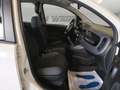 Fiat Panda natural power Easy 70cv - NEOPATENTATI Blanc - thumbnail 13