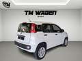 Fiat Panda natural power Easy 70cv - NEOPATENTATI Blanc - thumbnail 6