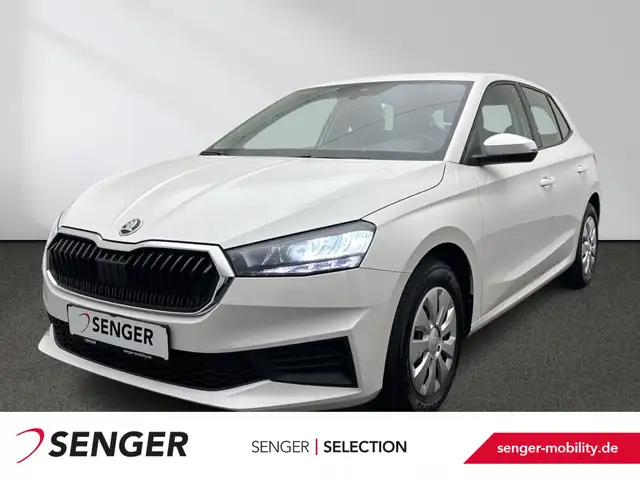 Skoda Fabia Active 1.0 MPI Winter-Paket Smart Link LED