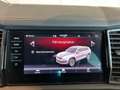 Skoda Kodiaq 4x4 SPORTLINE TDI DSG Gris - thumbnail 25