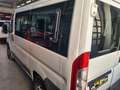 Fiat Ducato Bianco - thumbnail 3