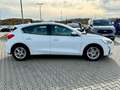 Ford Focus Lim. Cool & Connect 1.0 EcoBoost 1. Hand ! Weiß - thumbnail 9