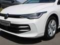 Volkswagen Golf VIII 1.5 eTSI DSG NEUWAGEN -APP-PDC-TOTWINKEL- Wit - thumbnail 4