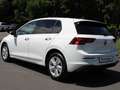 Volkswagen Golf VIII 1.5 eTSI DSG NEUWAGEN -APP-PDC-TOTWINKEL- Wit - thumbnail 5