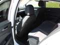 Volkswagen Golf VIII 1.5 eTSI DSG NEUWAGEN -APP-PDC-TOTWINKEL- Wit - thumbnail 11