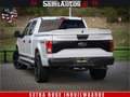 Ford F 150 USA 5.0 V8 SuperCrew | Marge BTW vrij | 24 inch Wi Argent - thumbnail 16