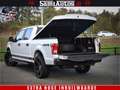 Ford F 150 USA 5.0 V8 SuperCrew | Marge BTW vrij | 24 inch Wi Argent - thumbnail 9