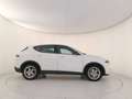 Alfa Romeo Tonale 1.6  Sprint Blanco - thumbnail 7