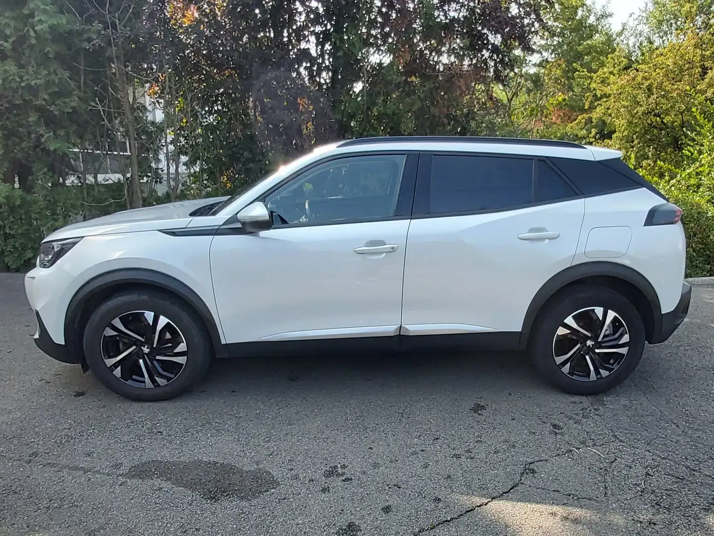 Peugeot 2008 2008 ALLURE 1.2 130 CV EAT 8 Wit - 1