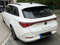 CUPRA Leon Leon Sportstourer 1.4 e-Hybrid (180 kW System) Weiß - thumbnail 2