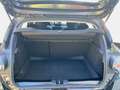 Dacia Sandero Stepway Extreme TCe 110 Schwarz - thumbnail 13