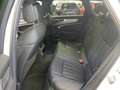 Audi A6 55 TFSIe quattro S-LINE*NAVI-PLUS*KAMER Weiß - thumbnail 11