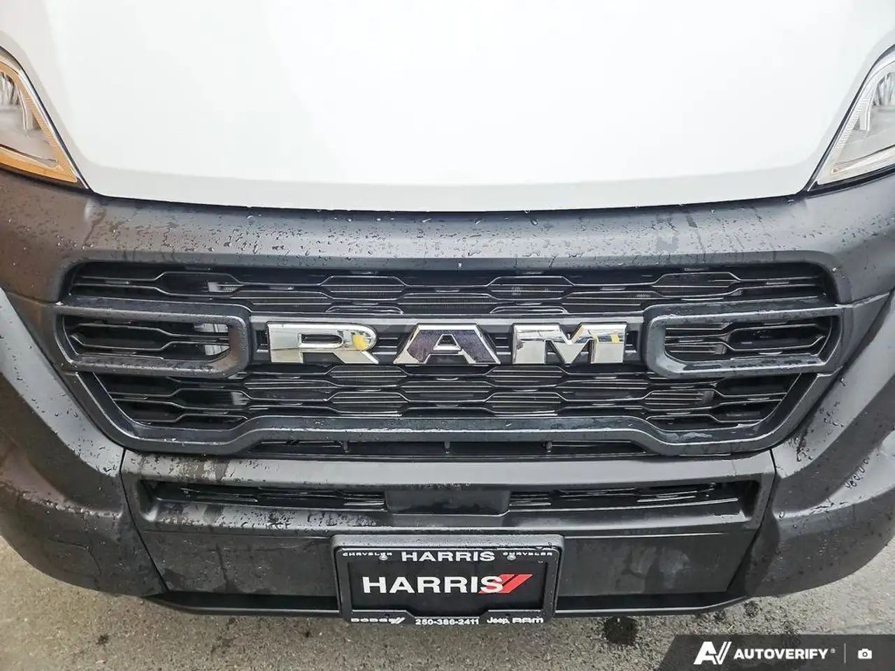 RAM Promaster снимка RAM Promaster