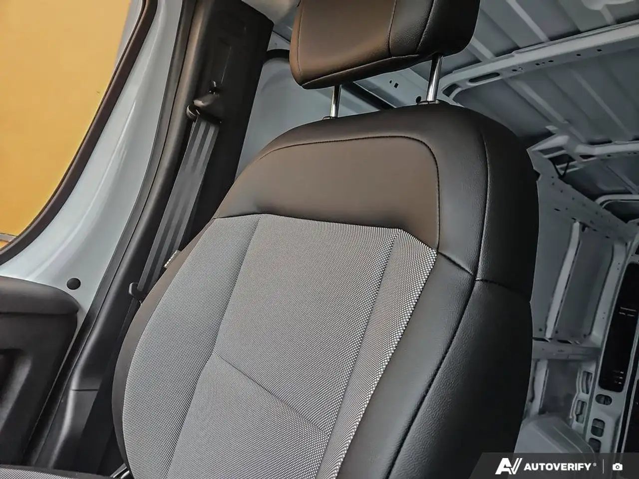 RAM Promaster снимка RAM Promaster