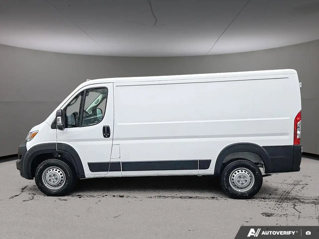 RAM Promaster снимка RAM Promaster